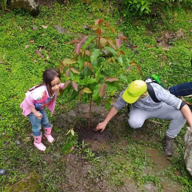 Acciones de Comfenalco Antioquia para mitigar el cambio climático