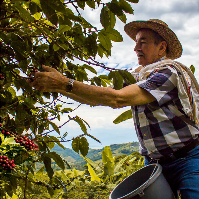 Comfenalco Antioquia presente en el 6° Festival de Cine de Jardín 