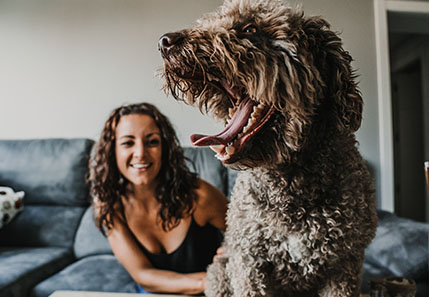 Quédate en casa con tus mascotas 