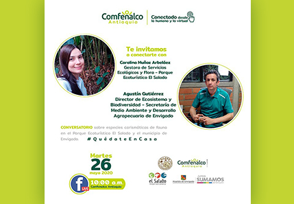 Conversatorio: “Especies carismáticas de fauna en el Parque Ecoturístico El Salado y el municipio de Envigado” 