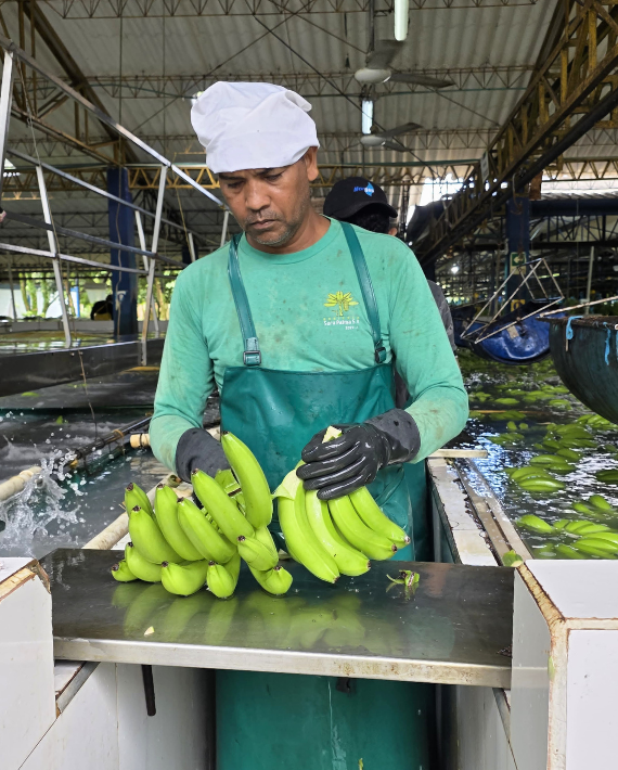 Impulsamos el crecimiento empresarial en Urabá con Avanza Urabá
